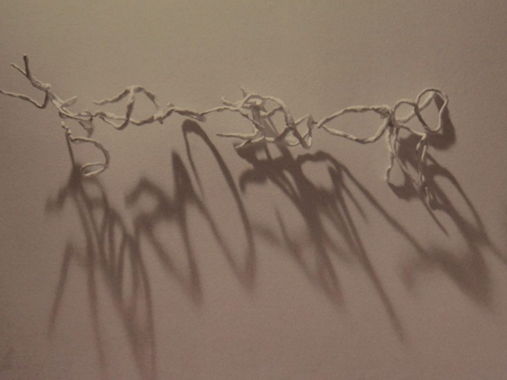 Marcia GROSTEIN (BR)